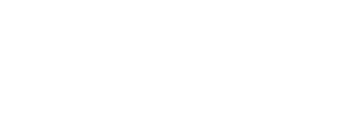 Camp-Northern-Lights-Logo-RGB-white.png